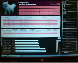 tourmaline dossier felin biometrique quotidien informatique de nos chats et chatons